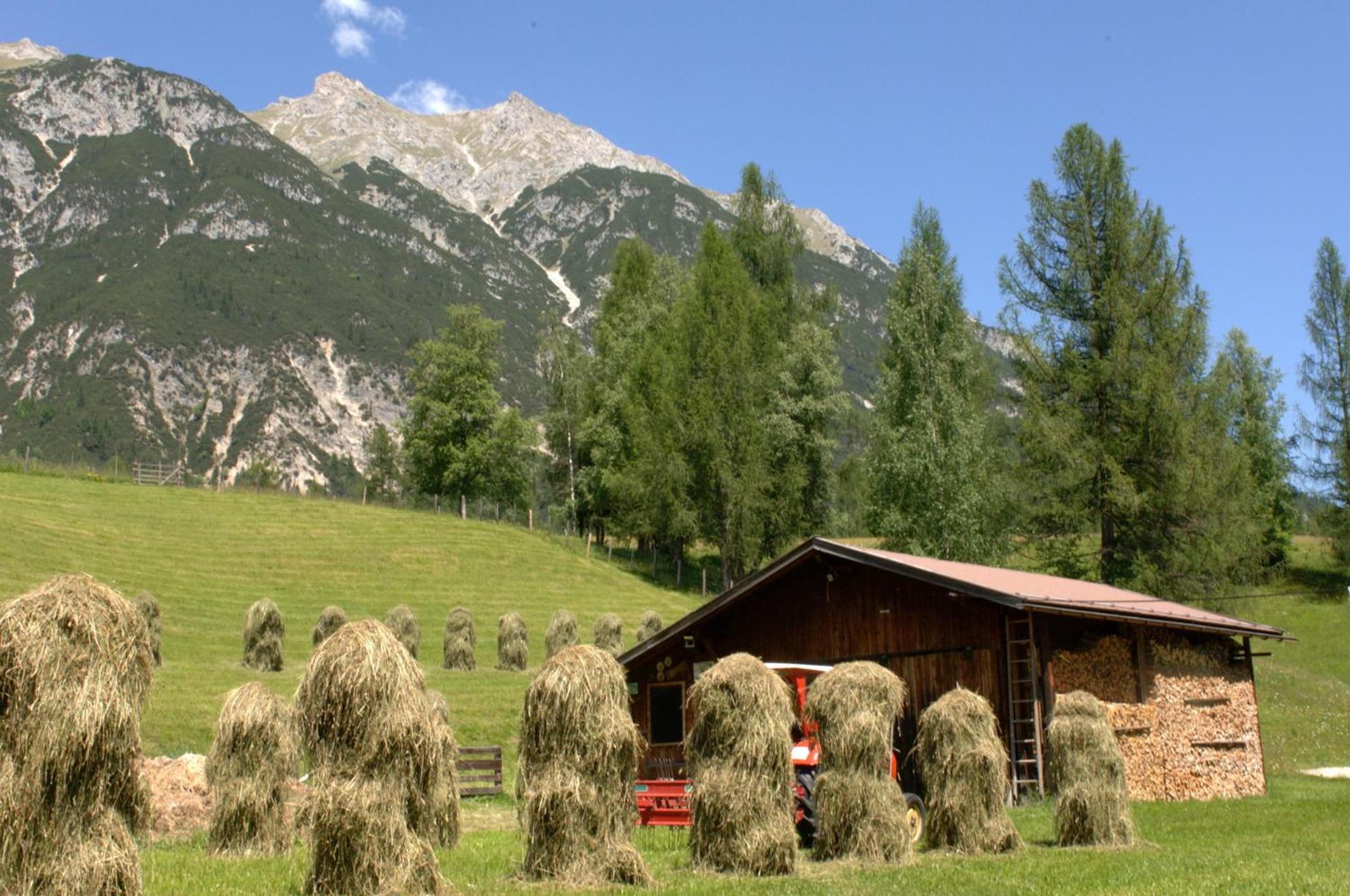 Villa Haus Elisengrund Seefeld in Tirol Exterior foto